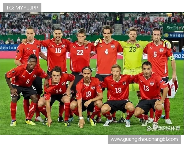 2017年土耳其与冰岛足球比赛的战术分析与球队表现评估