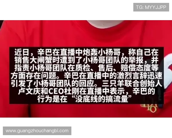 辽宁与吉林精彩对决直播回放全程回顾与精彩瞬间分析