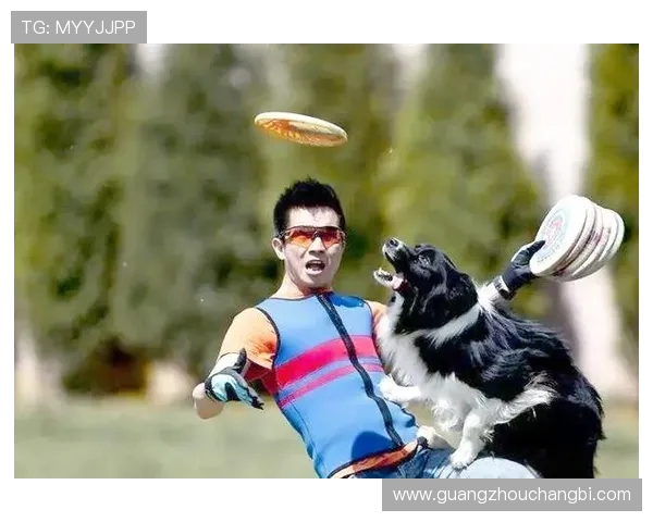 飞盘配合技巧全解析从零基础到高手的全面指南