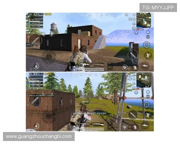 杨伟独家分享和平精英游戏技巧与心得助你成为战场高手