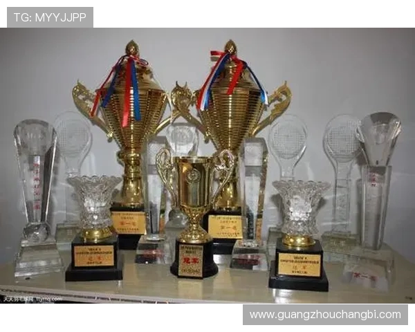 赵芳独家揭秘足球技巧与心得分享助你提升球技与战术理解