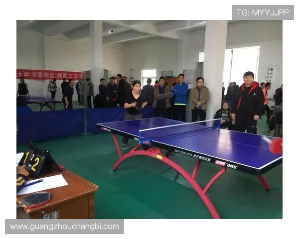 乒乓球传奇陈敏的职业生涯与心路历程深度对话