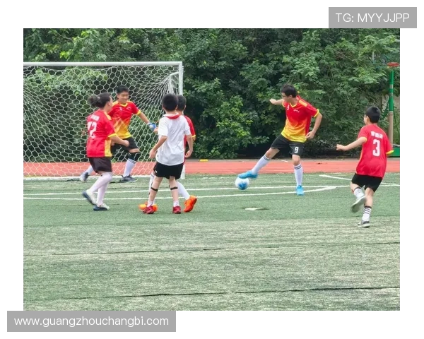 成都足球队耐力变革引发热议推动中国足球新发展之路